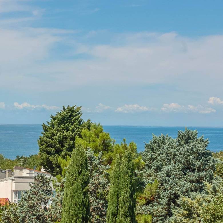 apartmen buje for sale