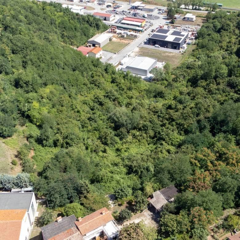 Buje poljoprivredno zemljište za ulaganje