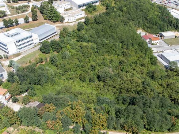 Buje poljoprivredno zemljište za ulaganje