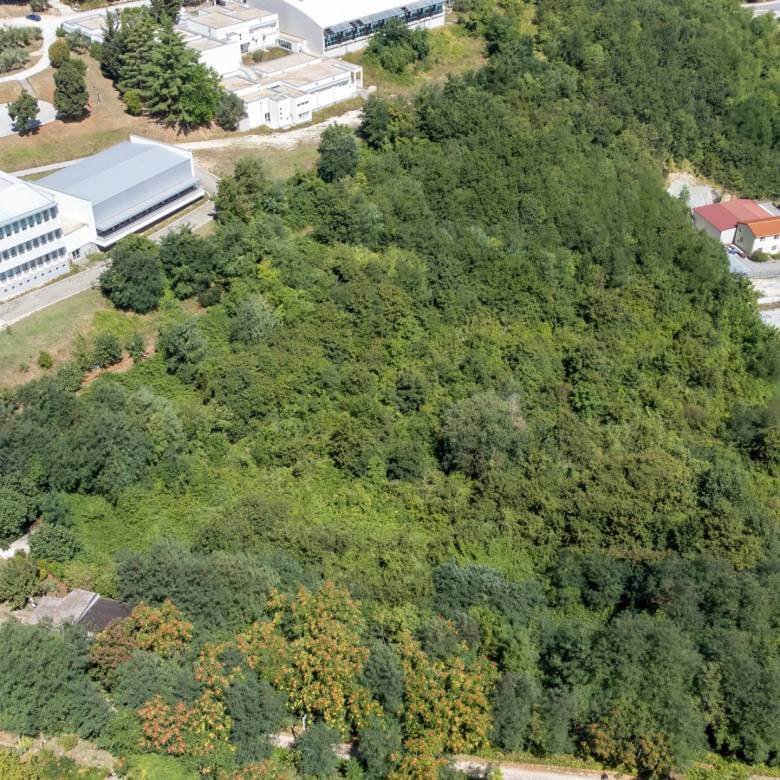 Buje poljoprivredno zemljište za ulaganje