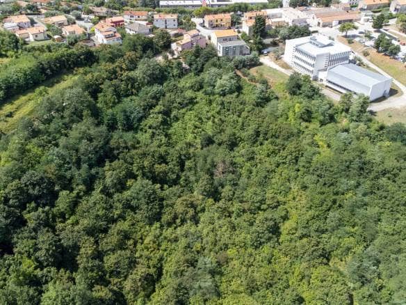 Buje poljoprivredno zemljište za ulaganje