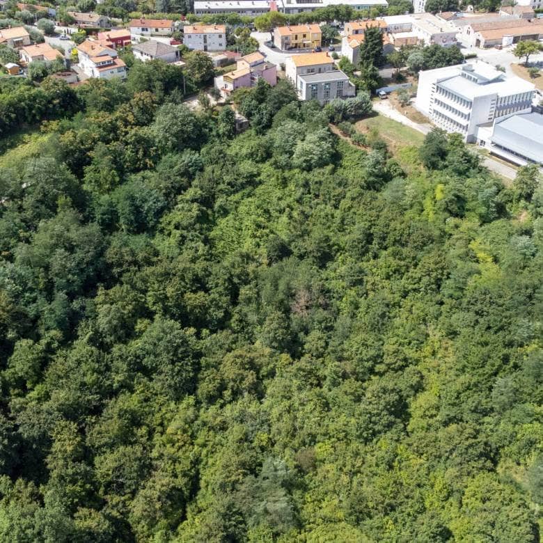 Buje poljoprivredno zemljište za ulaganje