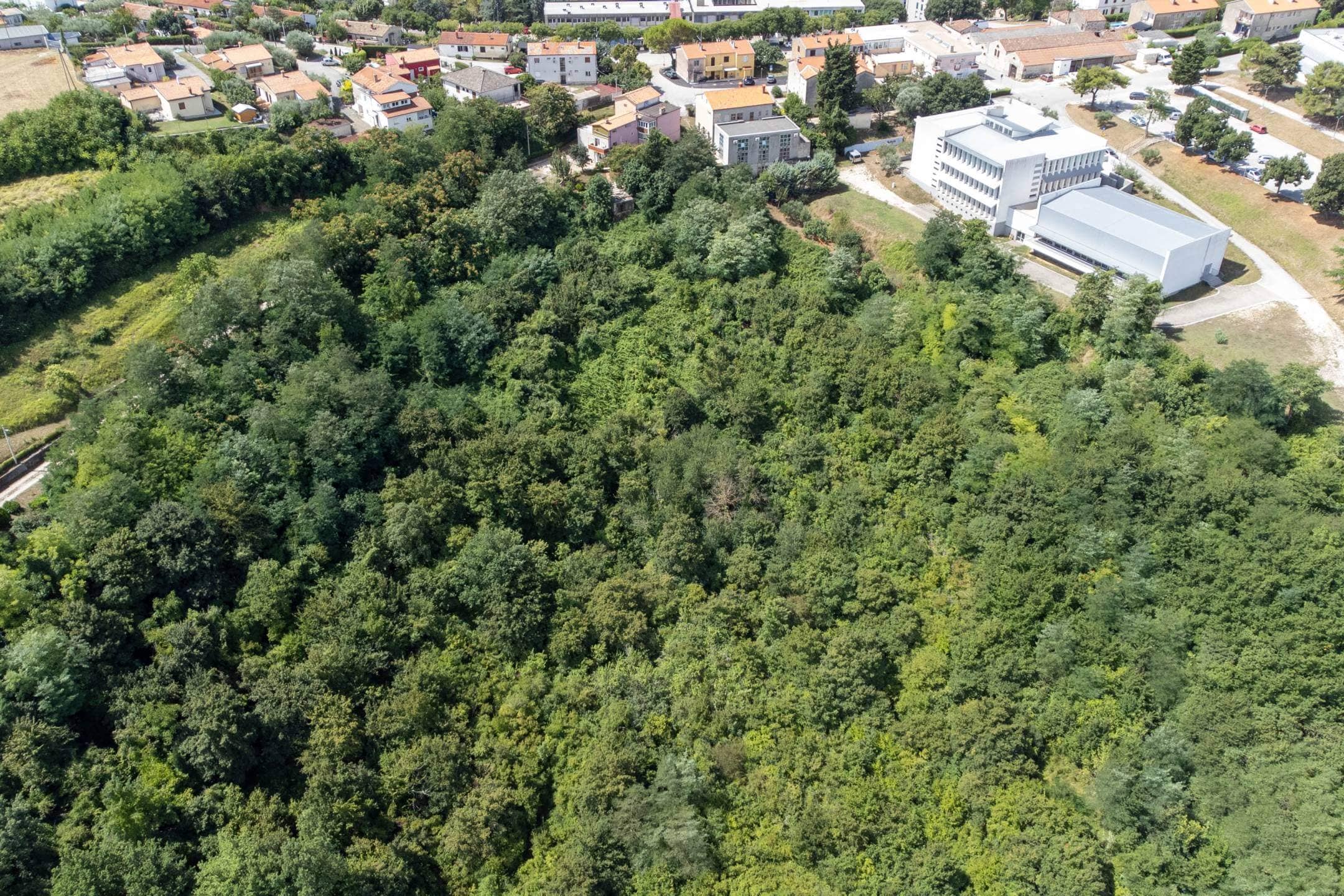 Buje poljoprivredno zemljište za ulaganje