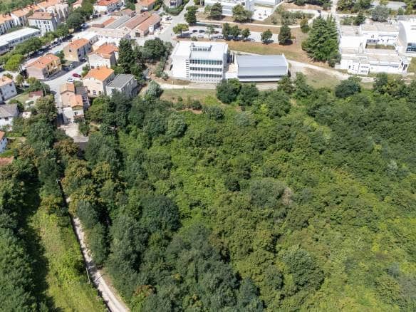 Buje poljoprivredno zemljište za ulaganje