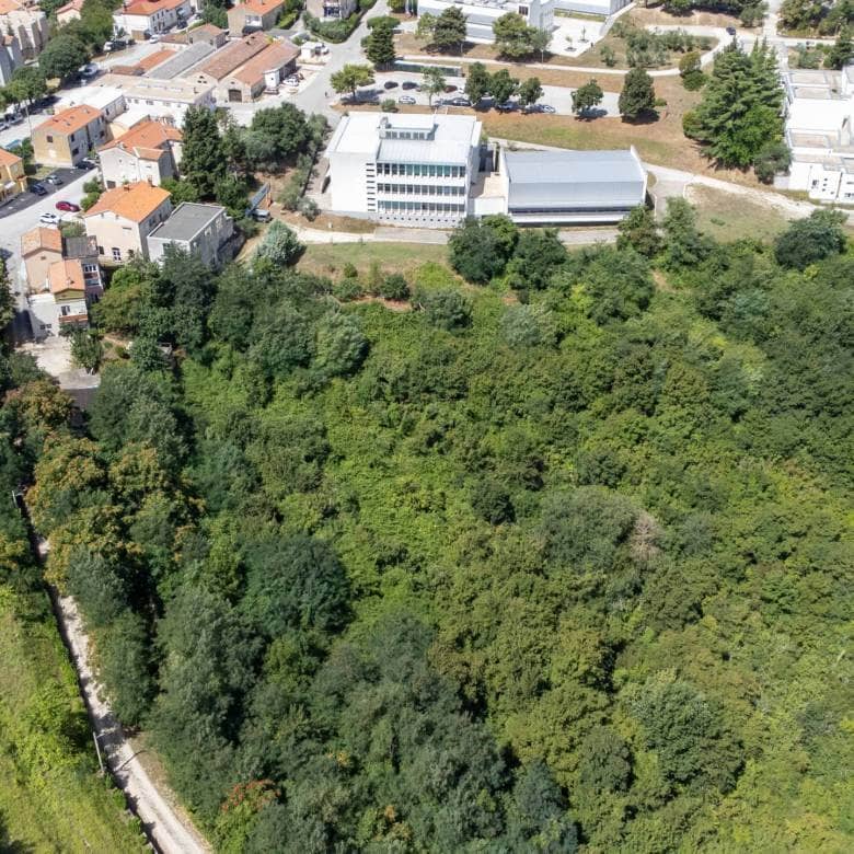 Buje poljoprivredno zemljište za ulaganje