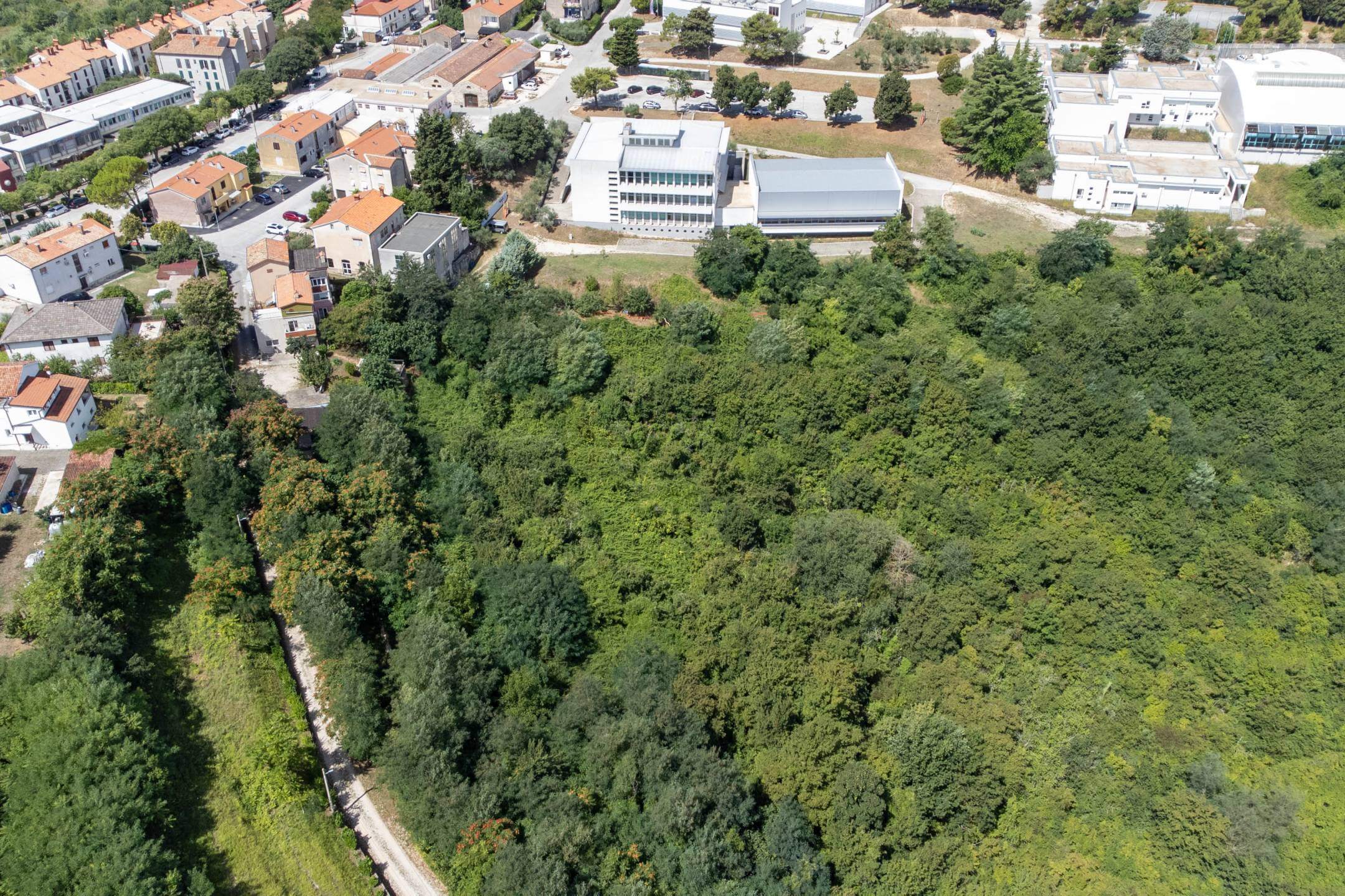 Buje poljoprivredno zemljište za ulaganje