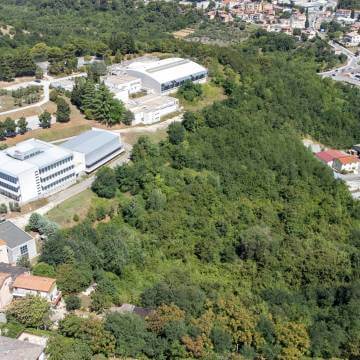 kmetijsko zemljišče za naložbo v Buje