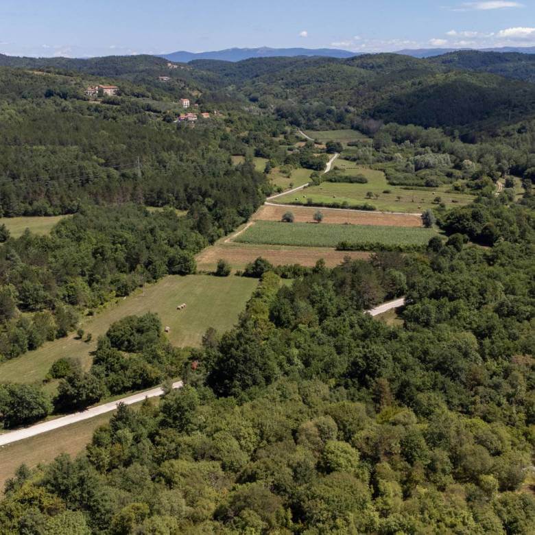 Sterna Bereich schöne landwirtschaftliche Flächen
