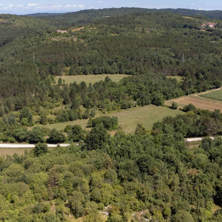 Sterna Bereich schöne landwirtschaftliche Flächen