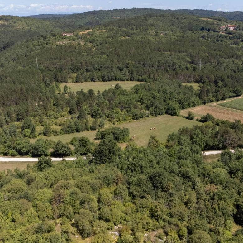 prekrasno poljoprivredno zemljište u području Sterne