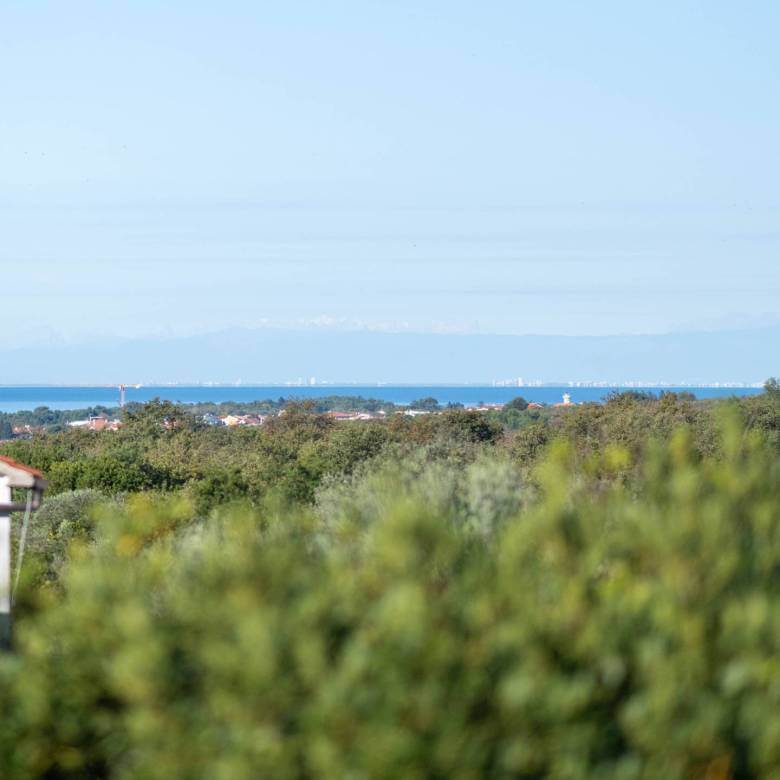 umag area apartment with garden sea view and included studio in the vicinity of umag