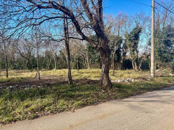 WhatsApp-Bild unter ()