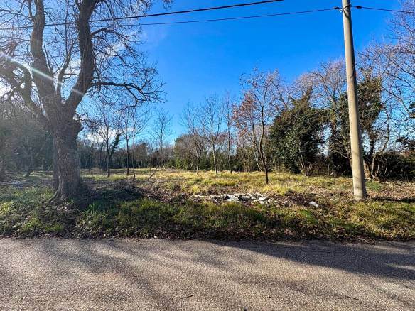 WhatsApp-Bild unter ()