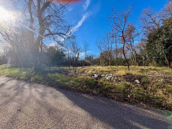 WhatsApp-Bild unter ()