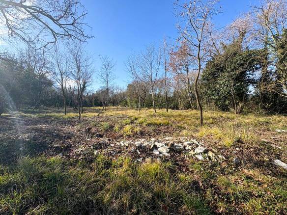 WhatsApp-Bild unter ()