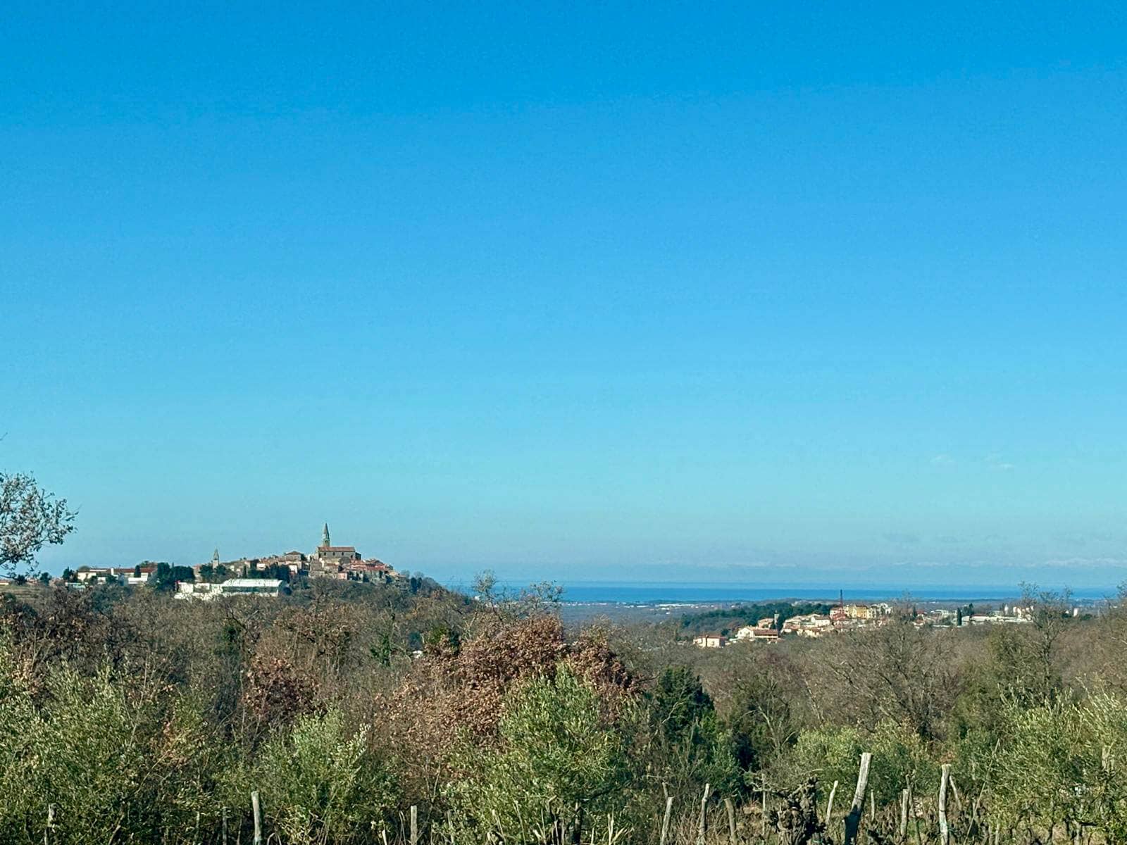 WhatsApp-Bild unter () WhatsApp-Bild unter ()