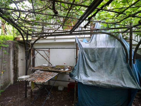 Prizor na dvorišču z zarjavelim kovinskim ogrodjem, poraslim z zelenimi trtami, sivo ponjavo, pregrnjeno čez improvizirano zavetje, in natrpano delovno mizo pod njim.